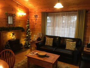 TV connectée, cheminée, lecteur de DVD, livres