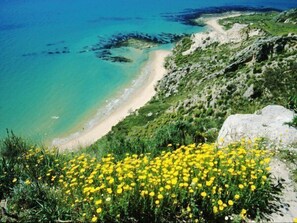 Kystlandskab med sandstrand, krystalklart turkis vand og en klippe med gule blomster.