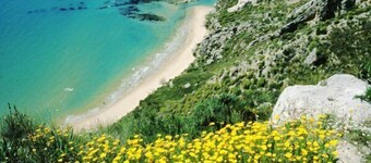 The House of Artists 2