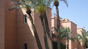 Una piscina amb palmeres i un edifici al fons.
