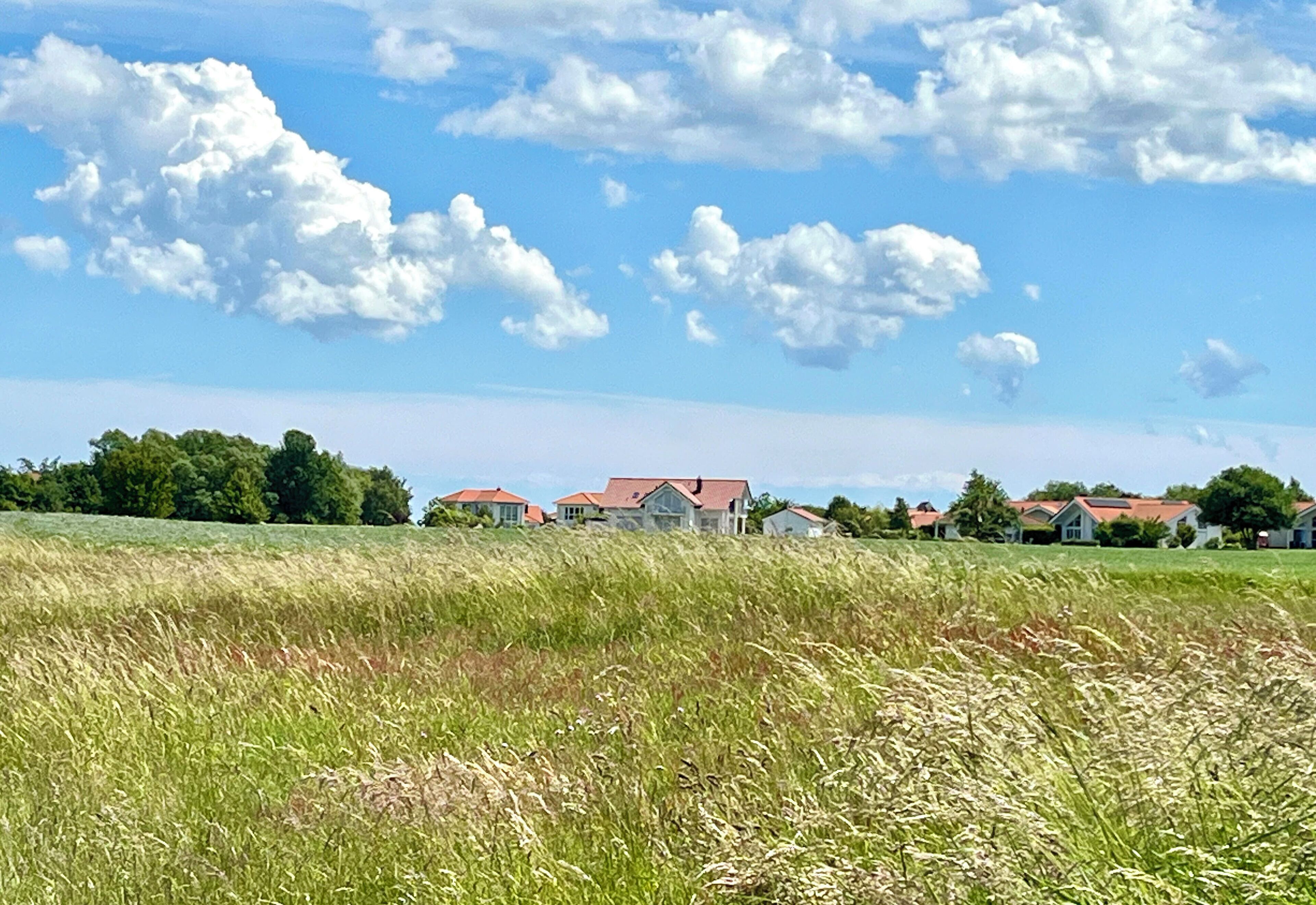 Un paisaje rural con un campo de hierba alta en primer plano y casas con tejados rojos al fondo, bajo un cielo azul despejado.