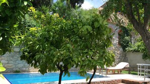 Piscina com parede de pedra e degraus de tijolo, cercada por vegetação e céu claro.