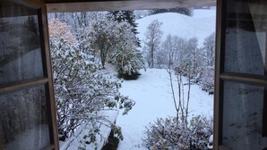 A view from a window with a snowy landscape outside, including trees and a hill. - authentic luxury chalet with garden (La Forclaz)
