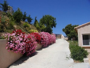 Un chemin bordé de fleurs roses et rouges éclatantes, menant à une entrée fermée par un portail.