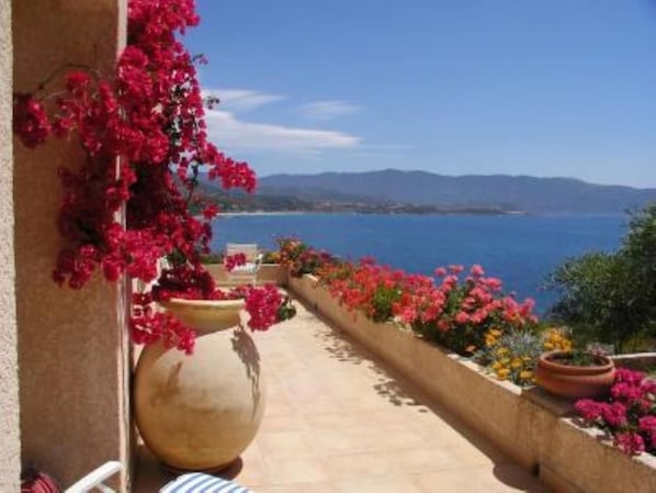 Un balcon agrémenté de plantes en pot et offrant une vue sur la mer.