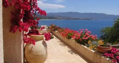 House / Villa - SAGONE