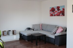 電視、DVD 播放機