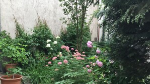 Ein Garten mit verschiedenen Pflanzen und Blumen, darunter rosa und weiße Blüten, sowie ein Blumentopf links.