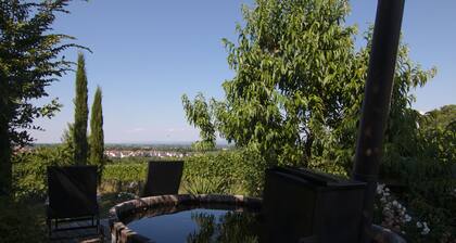 Junior Suite Girardi Mountain View