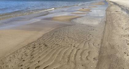 Erholsamer Urlaub im freistehenden Ferienhaus Selma!