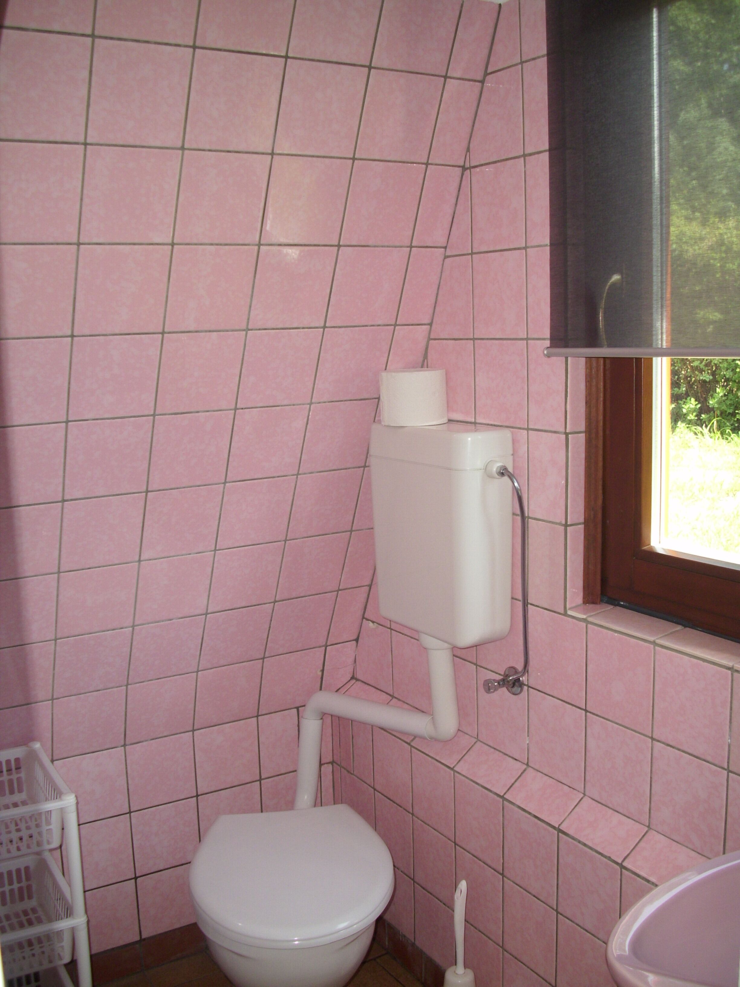 Awaken with the birdsong