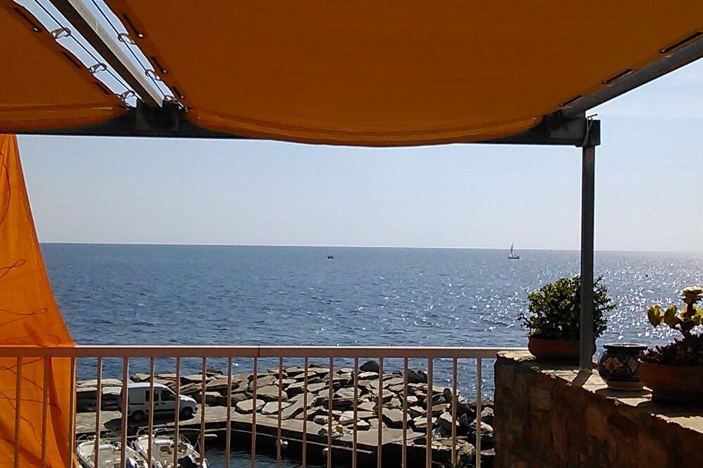 Erbalunga Brando: Apartment with terrace on the sea - Erbalunga - Brando