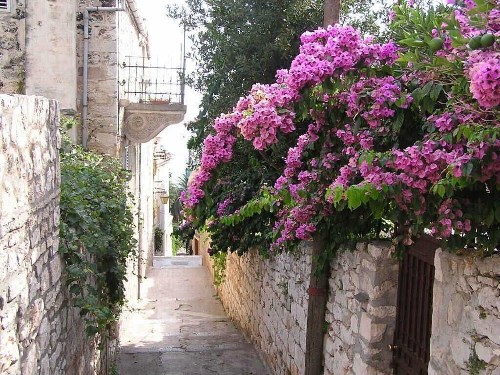neighbourhood