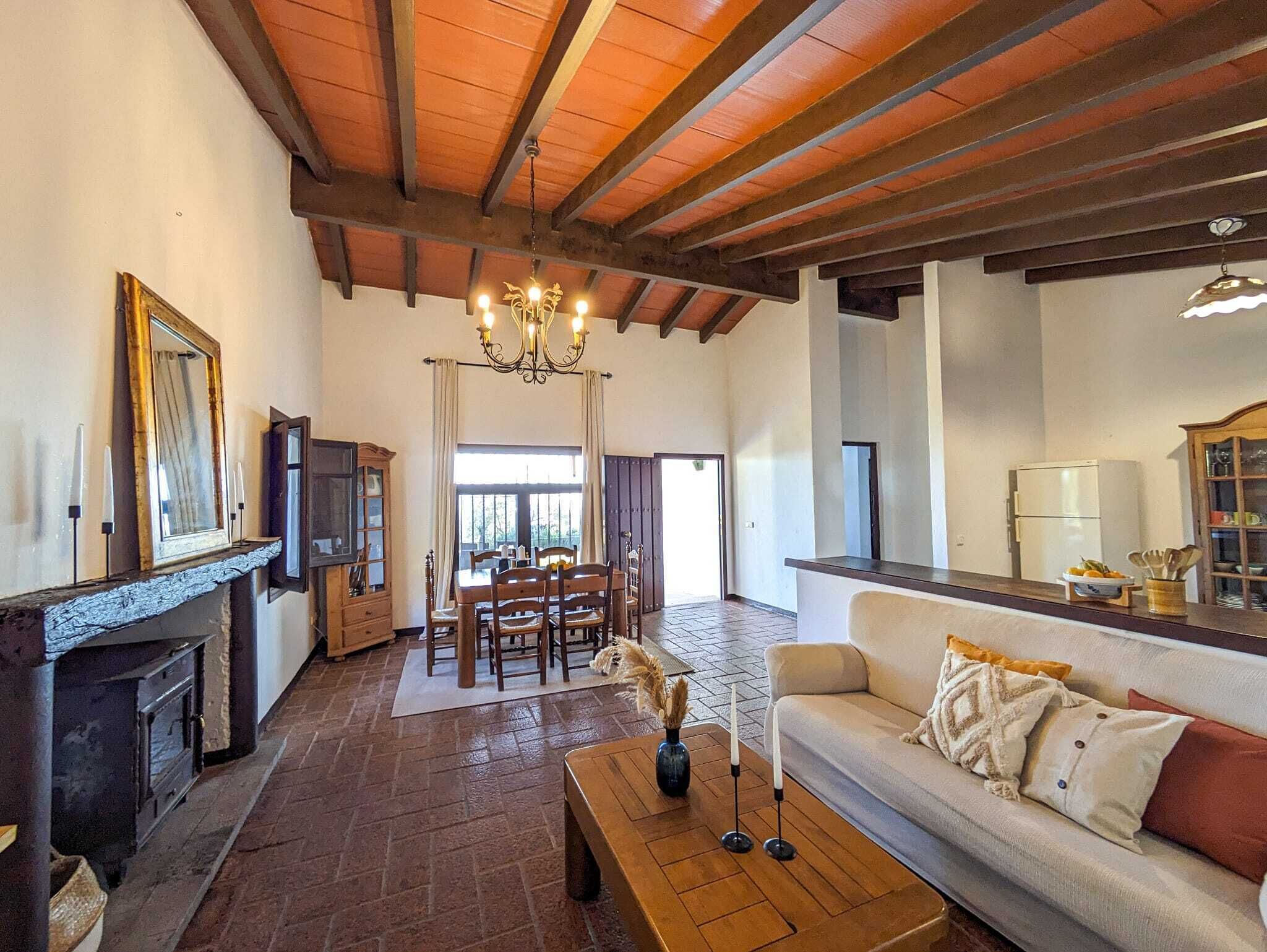 Télévision, cheminée, lecteur de DVD, chaîne hi-fi