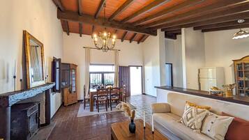 Télévision, cheminée, lecteur de DVD, chaßne hi-fi