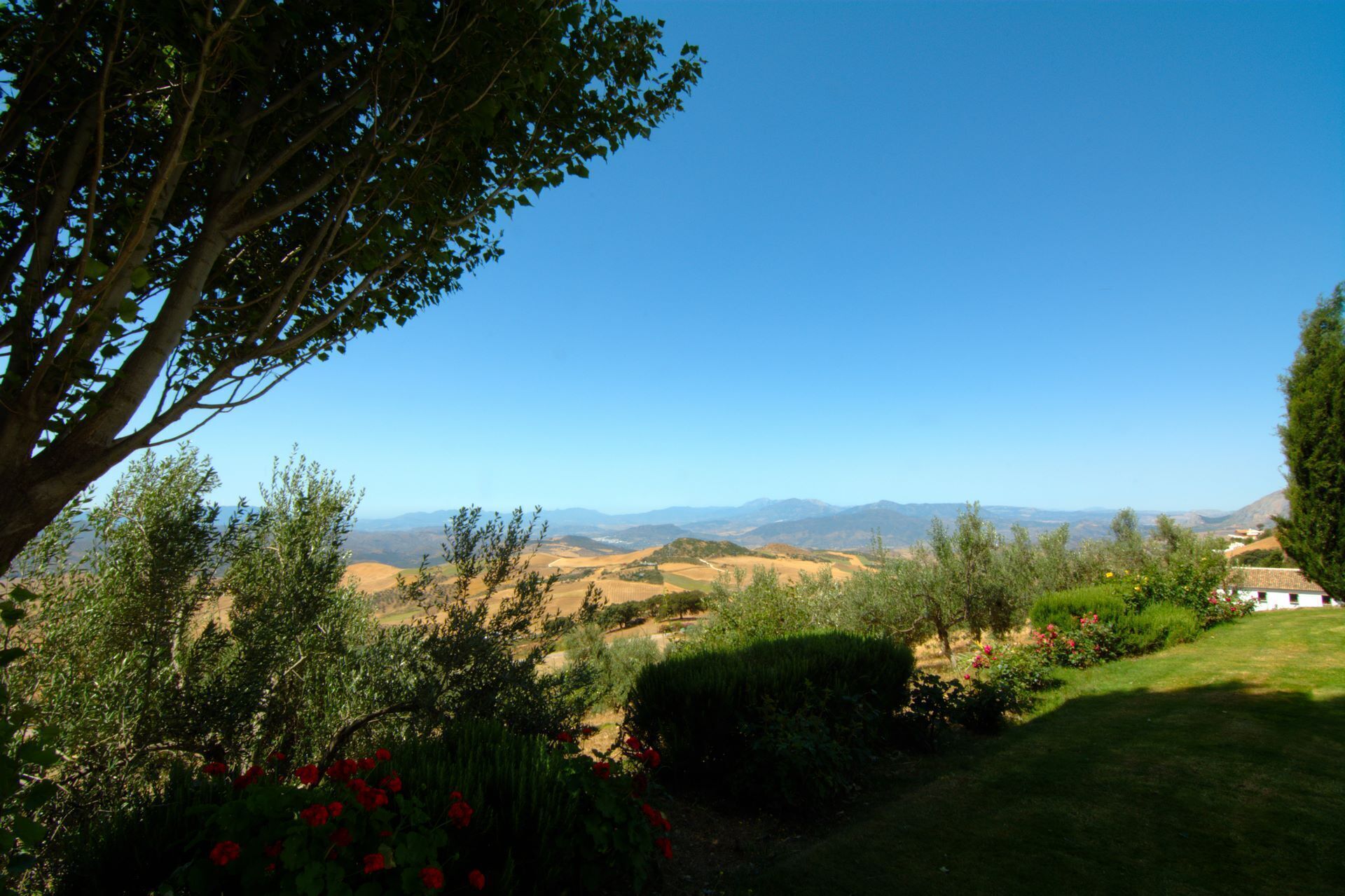 Terrein van de accommodatie