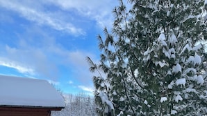 Eine Holzhütte mit einem schneebedeckten Dach und einem Baum vor der Tür, der mit Schnee bedeckt ist.