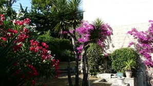 A courtyard with flowering plants and a stone wall. - House / Villa - SANARY SUR MERHouse with character (Sanary-Sur-Mer)
