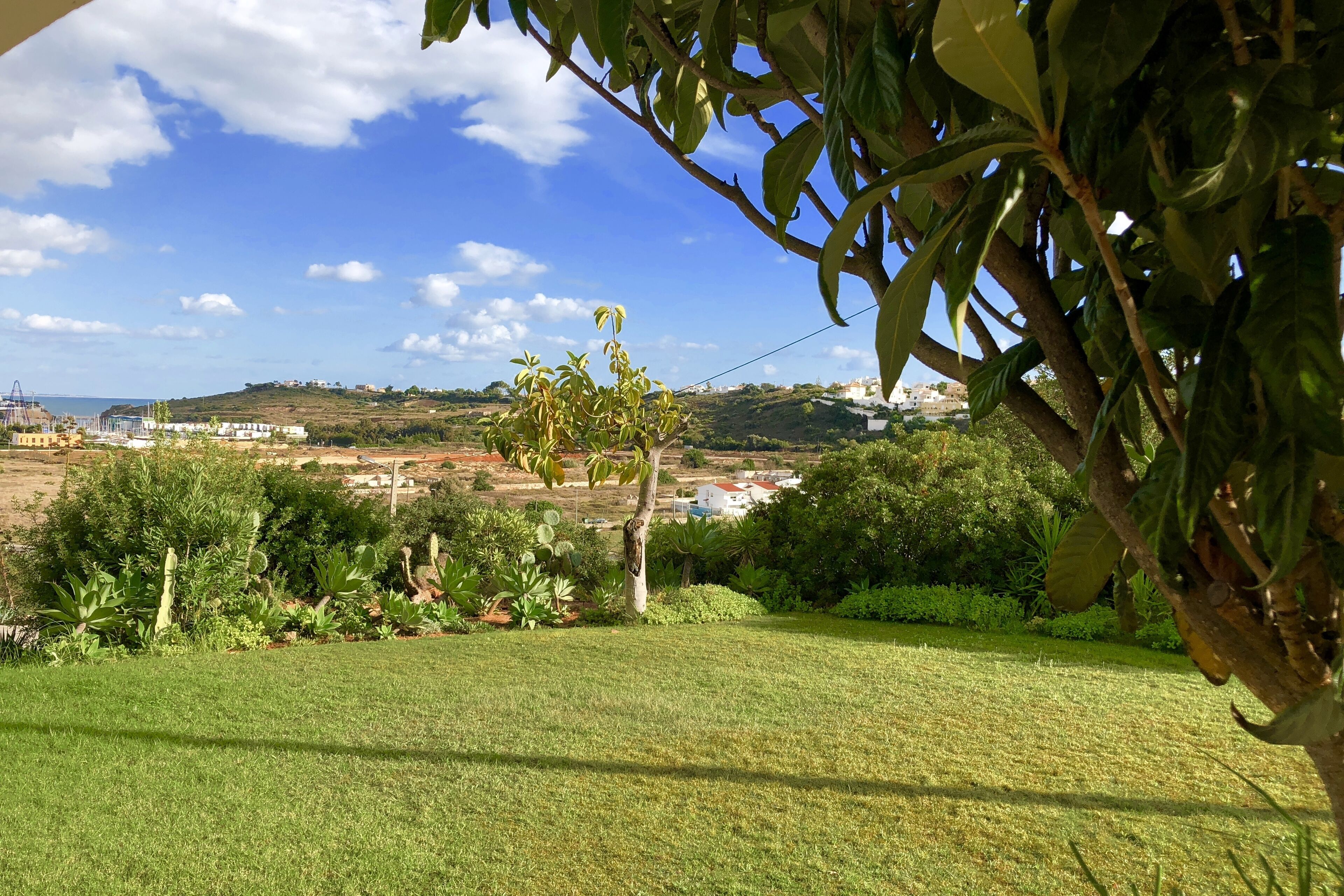 Une zone herbeuse avec un arbre et, en arrière-plan, une vue sur un paysage vallonné.