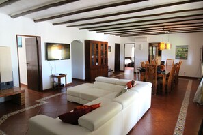 TV, fireplace, DVD player