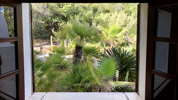 A view through a window with a wooden frame, revealing a lush garden with various green plants and trees. - Beautiful 10 people villa with pool on one of the most beautiful places in Albufeira (Albufeira)