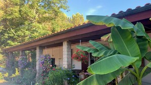 A house with a covered porch, stone pillars, hanging flower baskets, and a banana plant. - Apartment I" between Bordeaux and the Atlantic "Mimosa" (Brach)