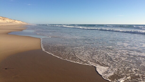 A beach with a sandy shore and gentle waves. - Apartment I" between Bordeaux and the Atlantic "Mimosa" (Brach)