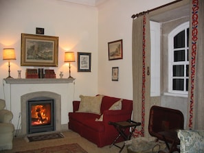 TV connectée, cheminée, livres