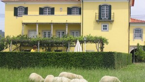 Un bâtiment jaune avec un toit recouvert de tuiles rouges, de nombreuses fenêtres et un arbuste au premier plan.