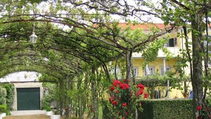 Un chemin menant à un bâtiment doté d’une porte verte, entouré de verdure et de plantes en fleurs.