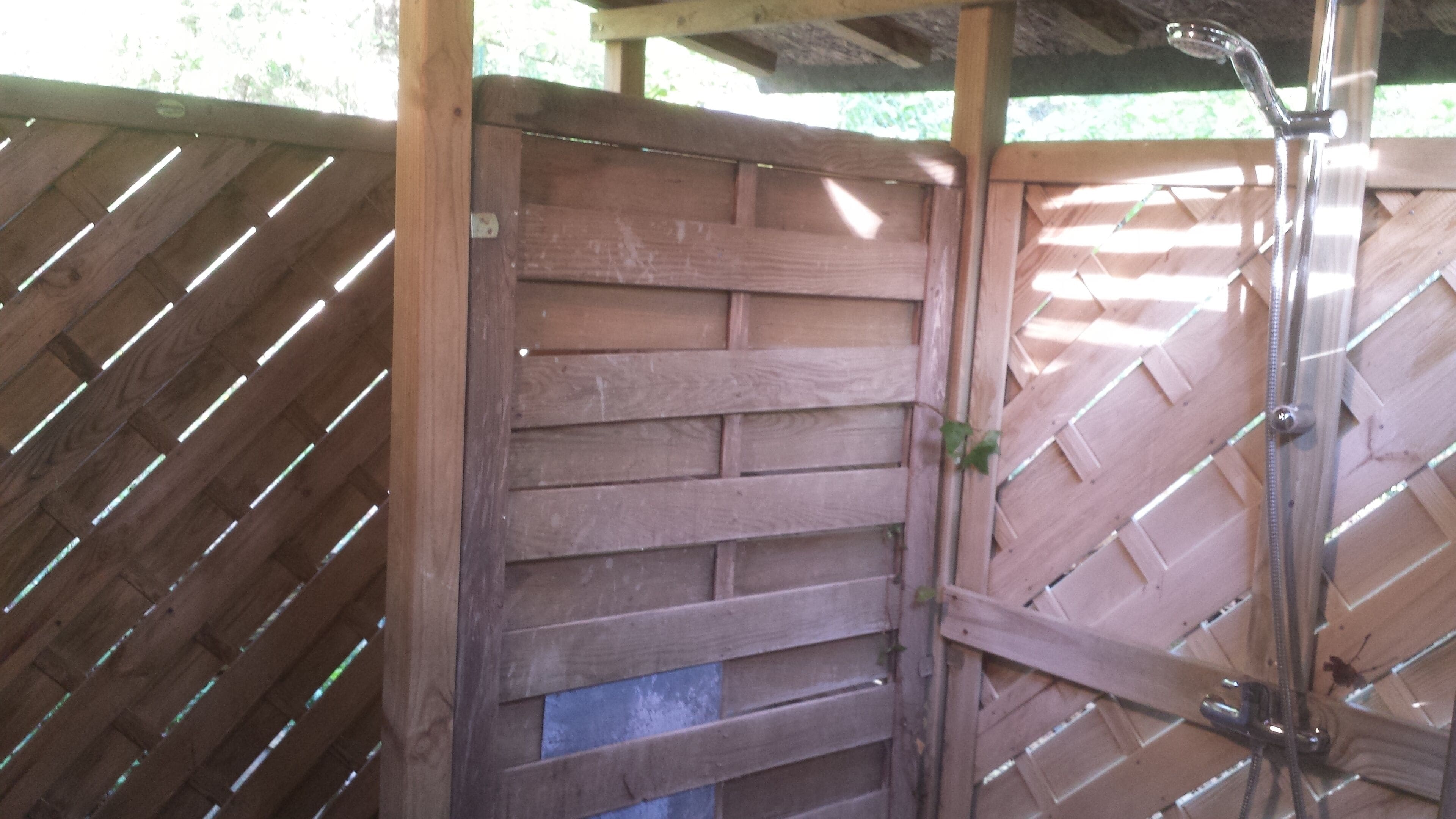 A wooden gate with a metal latch and a small plant growing beside it.