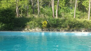 A clear blue pool surrounded by lush greenery and trees. - Nature lovers chalet nestled in the heart of Perigord with heated pool (Sagelat - Belvès)