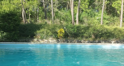 Nature lovers chalet nestled in the heart of Perigord with heated pool