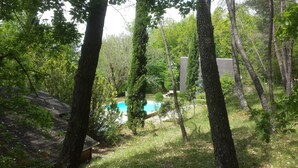 Un espacio al aire libre tranquilo con piscina rodeada de árboles y una terraza de madera.