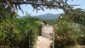 Ein steiniger Weg führt durch einen Garten mit einem Metalltor, umgeben von Grünpflanzen und einer Berglandschaft im Hintergrund.