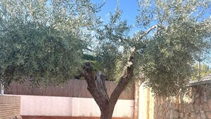 A tree with a thick trunk and dense foliage in a landscaped garden area with a stone wall and a wooden fence in the background. - House with private pool and wi. fi (Coma-Ruga)