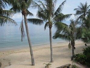 A beach with palm trees and a calm sea.