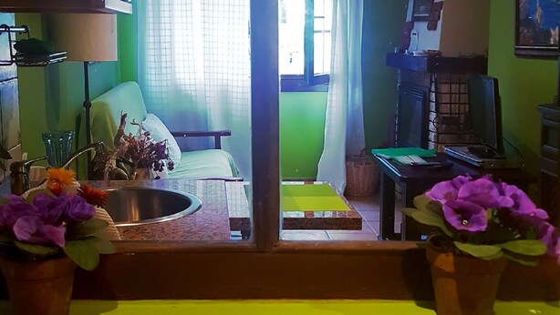 A small, brightly colored room with a bed, a desk, a chair, and a window with sheer curtains. There are potted plants on the windowsill and a small table with a green tray.