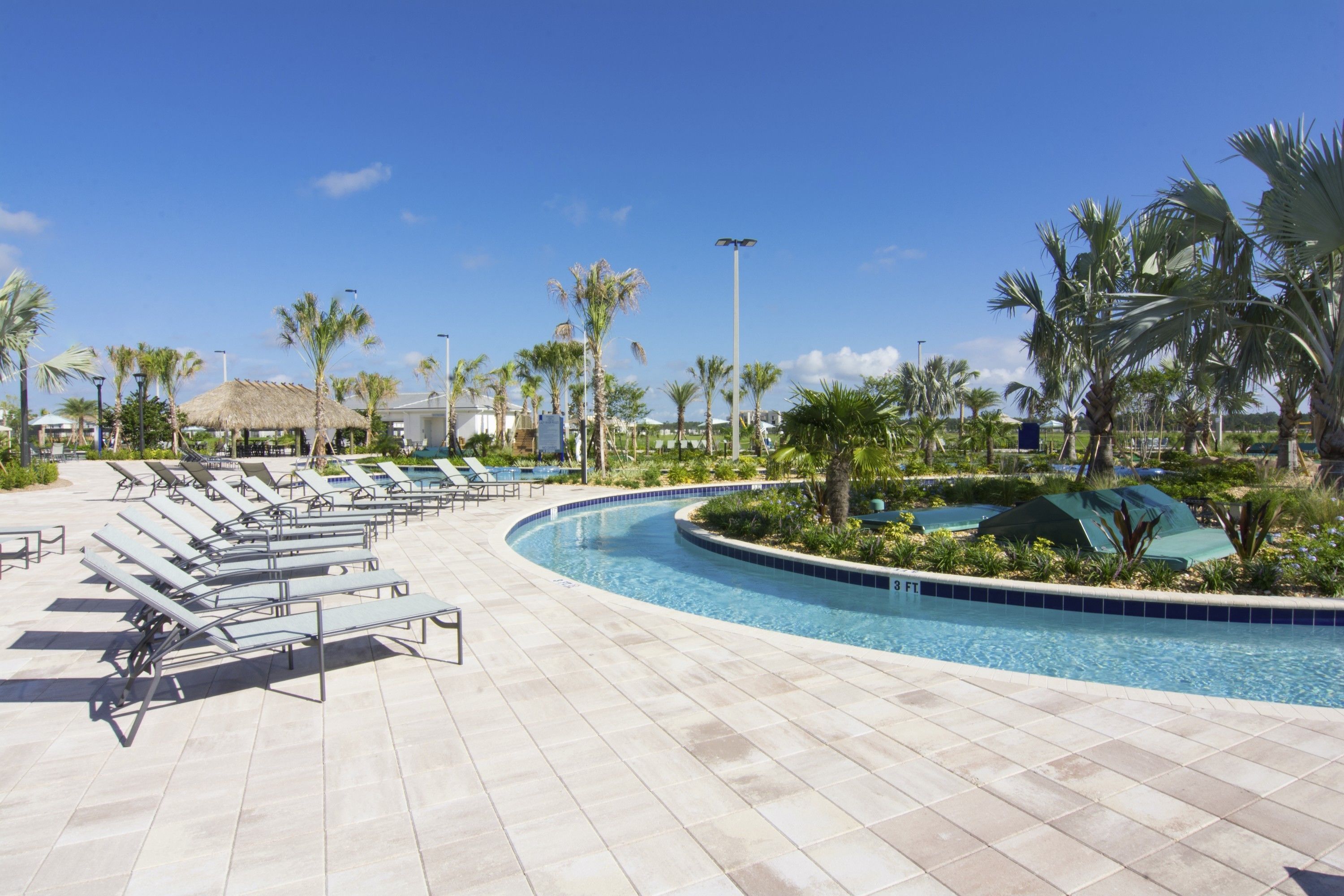A poolside area with lounge chairs and palm trees.