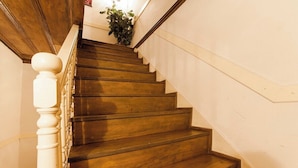 A wooden staircase with white balusters and a plant at the top.