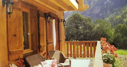 Belle, spacieuse chalet de 12 personnes, Portes du Soleil, France