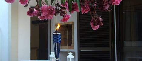 Àrea exterior de l'allotjament