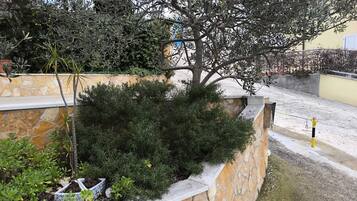 Área da propriedade