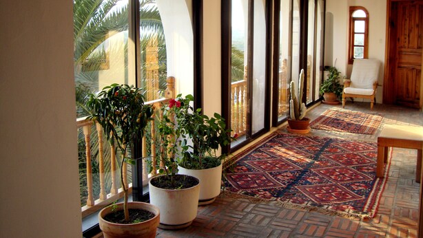 Een ruim balkon met grote ramen, potplanten, een kleurrijk tapijt en een houten stoel.