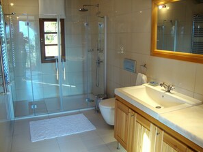 Combined shower/bathtub, hair dryer, towels