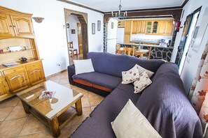 Télévision, cheminée, lecteur de DVD, livres