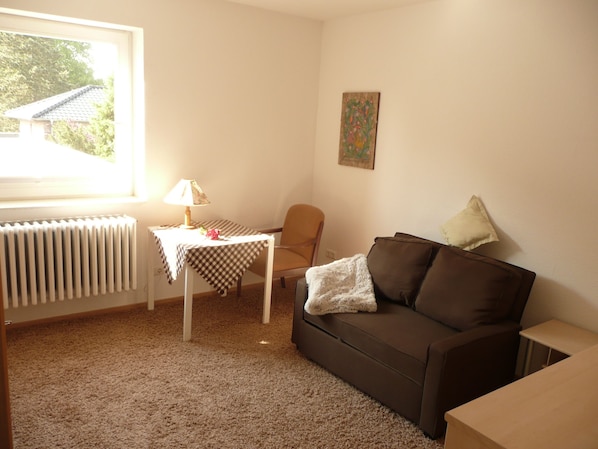 TV, books, music library, video library