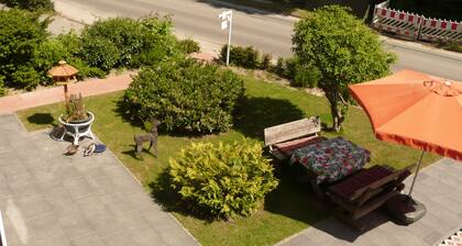 Free to the sun and large roof terrace