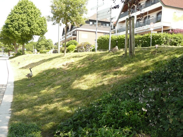 Property grounds - Free to the sun and large roof terrace (Malente)