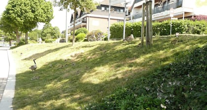 Free to the sun and large roof terrace